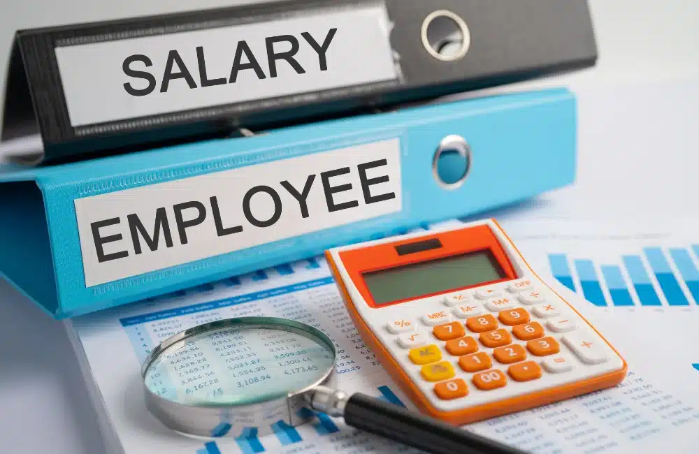 Employee salary structure with calculator, magnifying